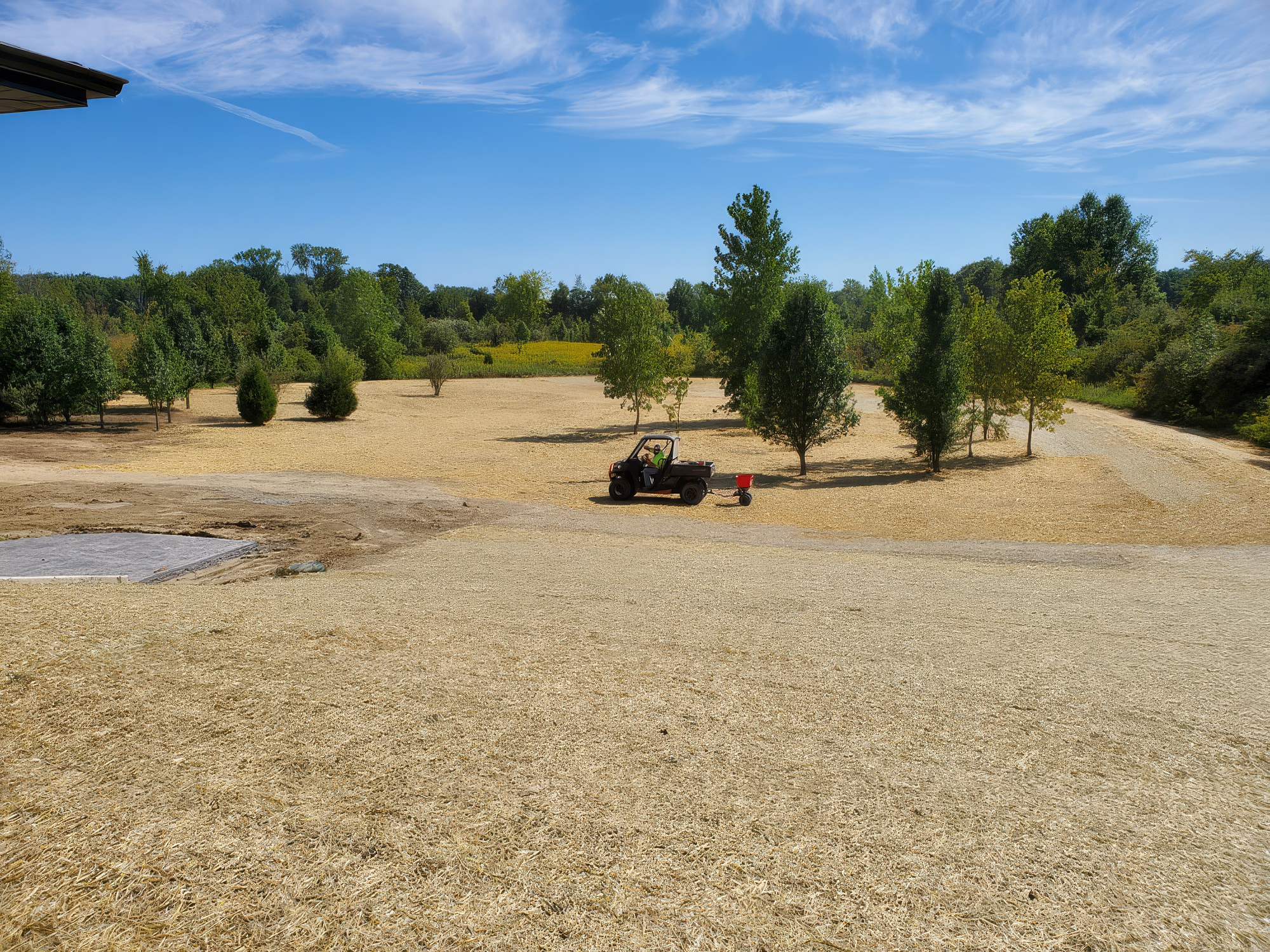 large graded and seeded yard surrounded by mature trees large graded and seeded yard surrounded by mature trees