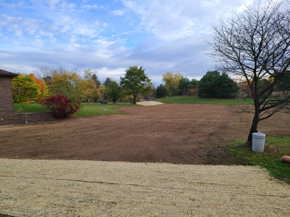 graded dirt in back yard; tree line in distance graded dirt in back yard; tree line in distance