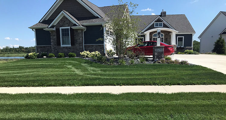 front view of a home with dark gray siding and white trim, freshly mowed front yard with thick green grass front view of a home with dark gray siding and white trim, freshly mowed front yard with thick green grass