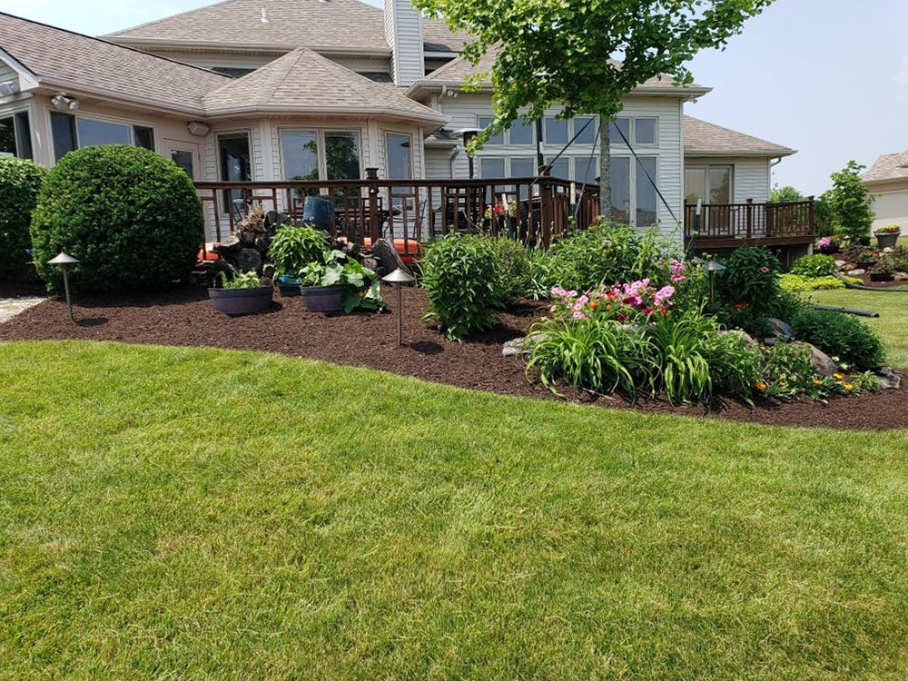 view of freshly-mulched back yard with mature shrubs and flowers view of freshly-mulched back yard with mature shrubs and flowers